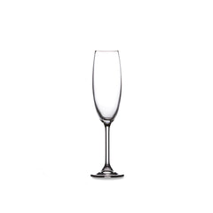 Brilliant Vinum Champagne Glass Set of 4 - 220 ml