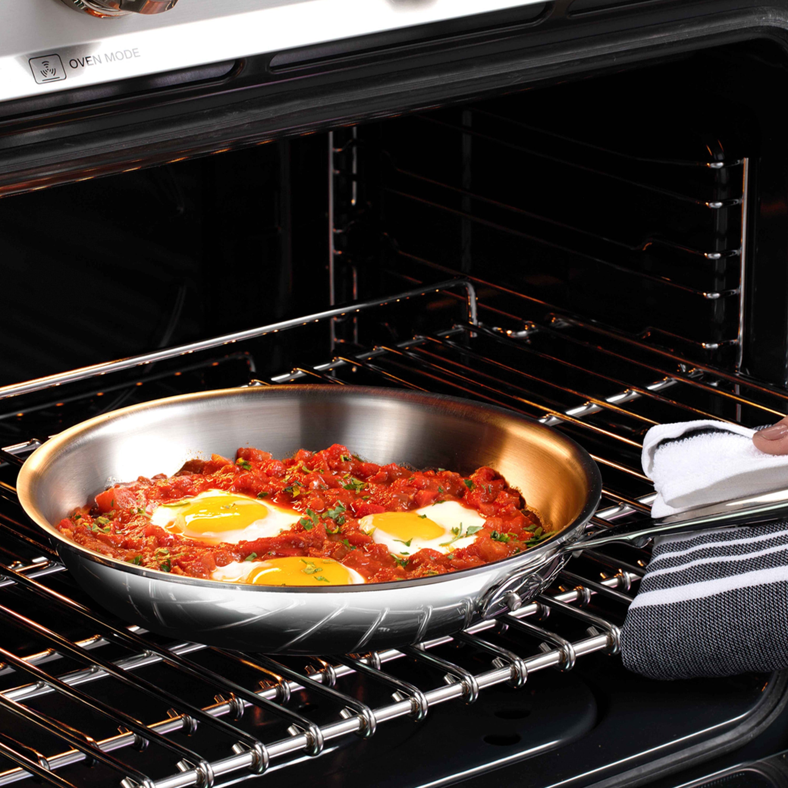 All-Clad D3 Stainless Steel Fry Pan with lid - 10"